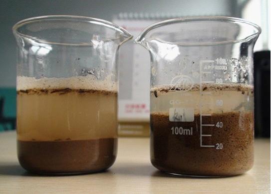 "土壤酵母"的表观实验效果对比
